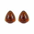 Amber Teardrop Stud Earrings — studio picture