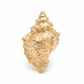 Gold Textured Conch Clip