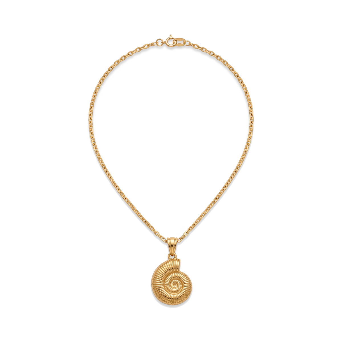 Gold Conch Pendant Necklace — Glam by Layal
